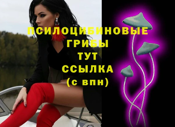 2c-b Арсеньев