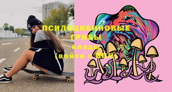 2c-b Арсеньев