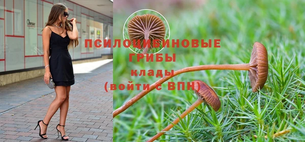 2c-b Арсеньев